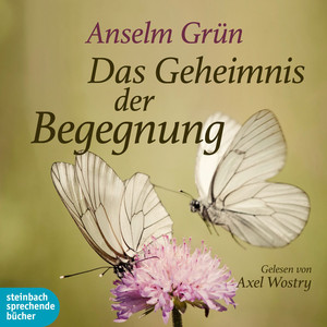 Das Geheimnis der Begegnung (Ungekürzt)