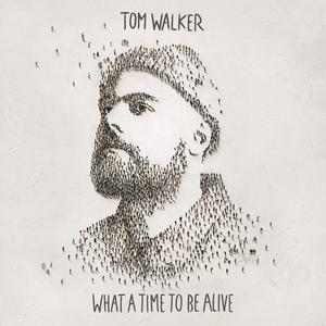 What a Time to Be Alive cover