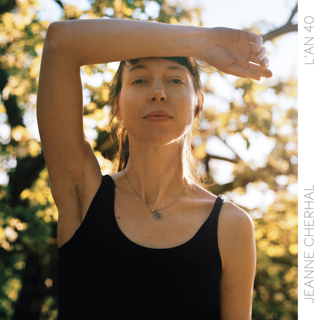 Musik Album 'L'An 40'