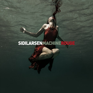 Machine rouge cover