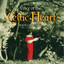 Voice of the Celtic Heart Albumcover