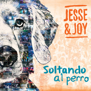 Soltando al perro (USA) cover