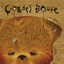 Intriguer cover
