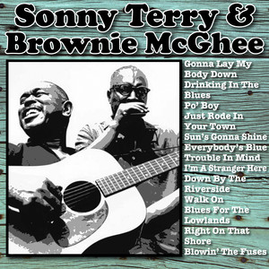 Sonny Terry & Brownie McGhee album