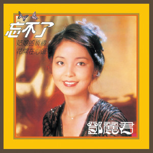 復黑王 忘不了 鄧麗君 Albumcover