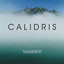 Calidris Albumcover