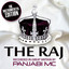 The Raj Instrumental cover