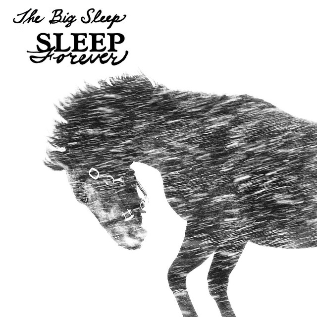 Sleep Forever cover