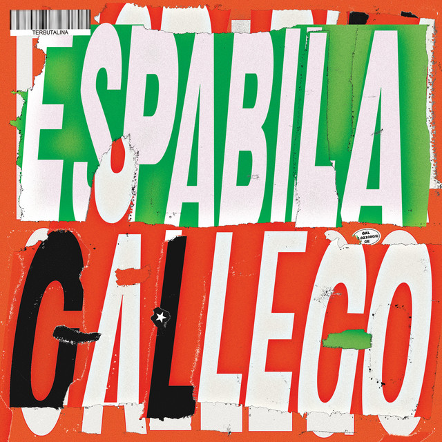 Espabila Gallego cover