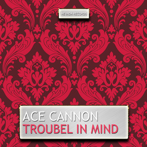 Troubel In Mind album