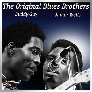 The Original Blues Brothers album
