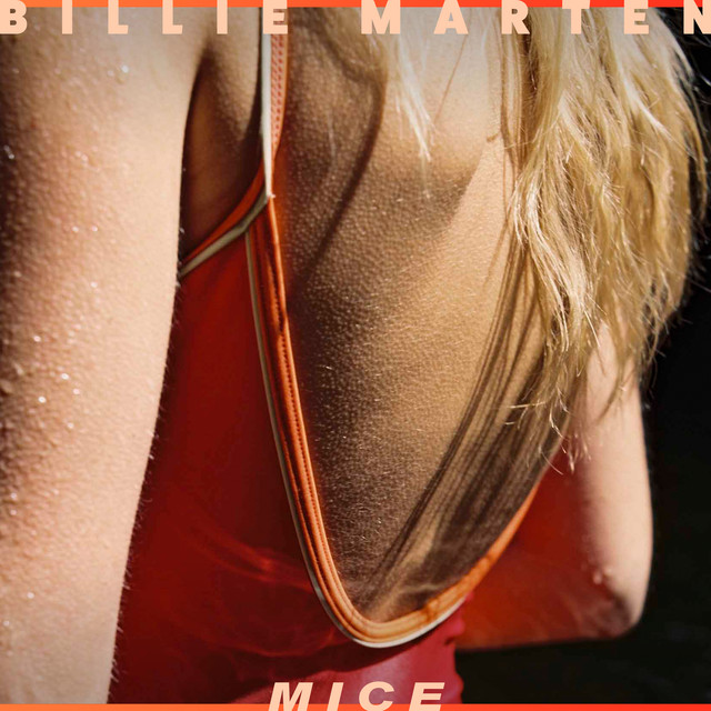 Mice cover