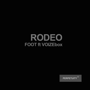 Foot ft. Voizebox