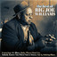 The Best of Big Joe Williams cover