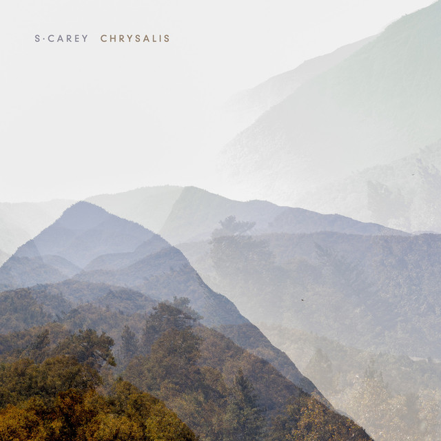 Chrysalis cover