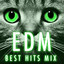 EDM Best Hits Mix cover