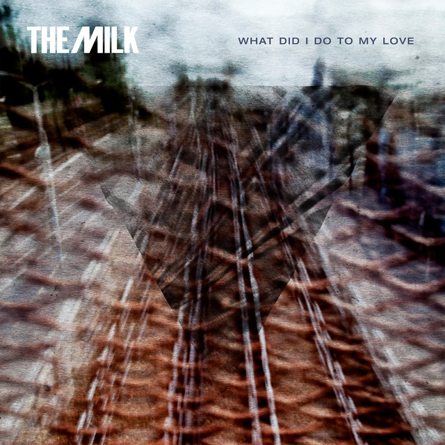 What Did I Do To My Love (radio Edit) cover