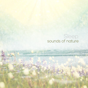 Sleep - Sounds of Nature album
