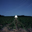 Escapements cover