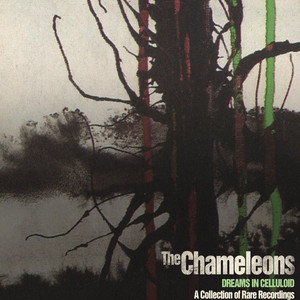 Dreams In Celluloid album