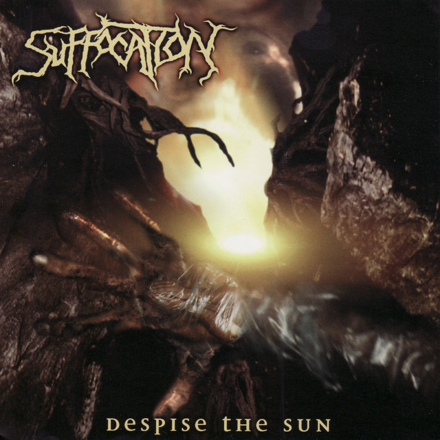 Despise The Sun cover