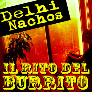 Delhi Nachos