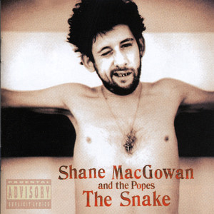 The Snake cover