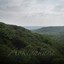 Aokigahara Albumcover
