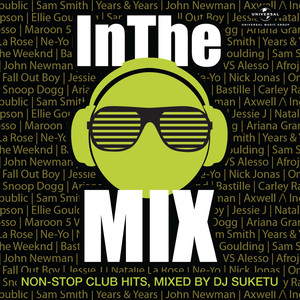 In The Mix (Mixed By DJ Suketu) album
