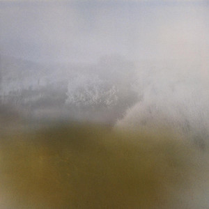 Noon Hill Wood cover