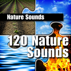 120 Nature Sounds Albumcover
