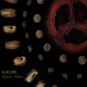 Tripudium naturae cover