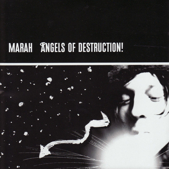 Angels Of Destruction! cover