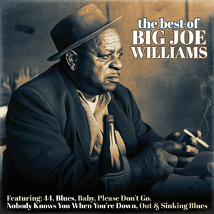 The Best of Big Joe Williams album