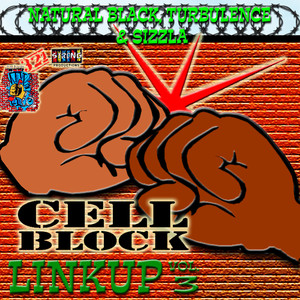 Cell Block Studios Presents: Linkup Vol, 3 album