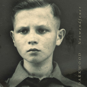 Notwendfeuer cover