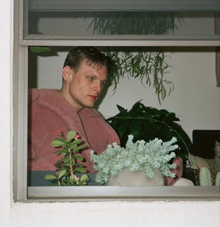 Eyukaliptus Photo
