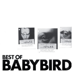 Best of Babybird cover