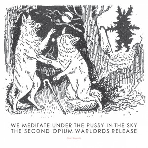 We Meditate Under the Pussy in the Sky cover