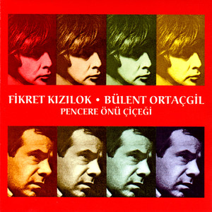 Pencere Önü Çiçeği cover