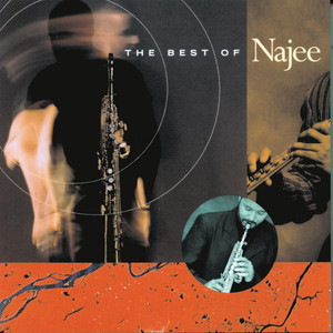 The Best of Najee album