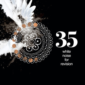 35 White Noise for Revision album