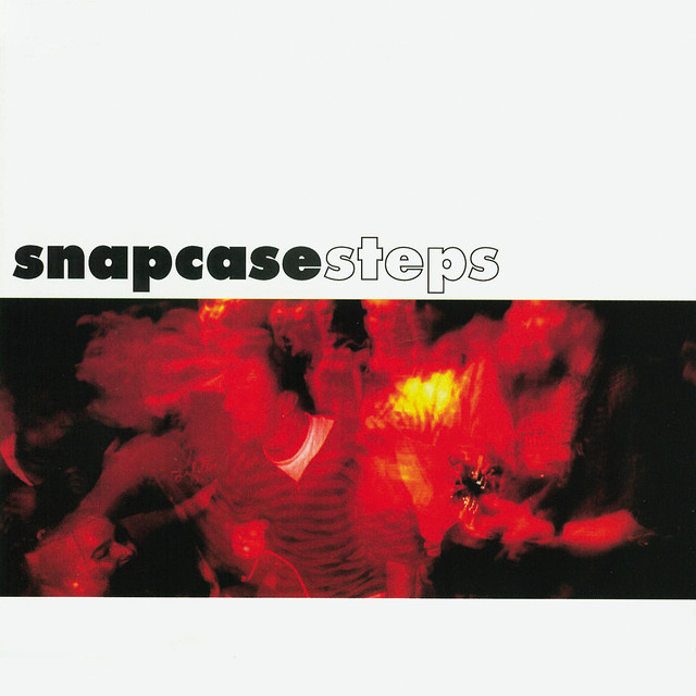 Steps cover