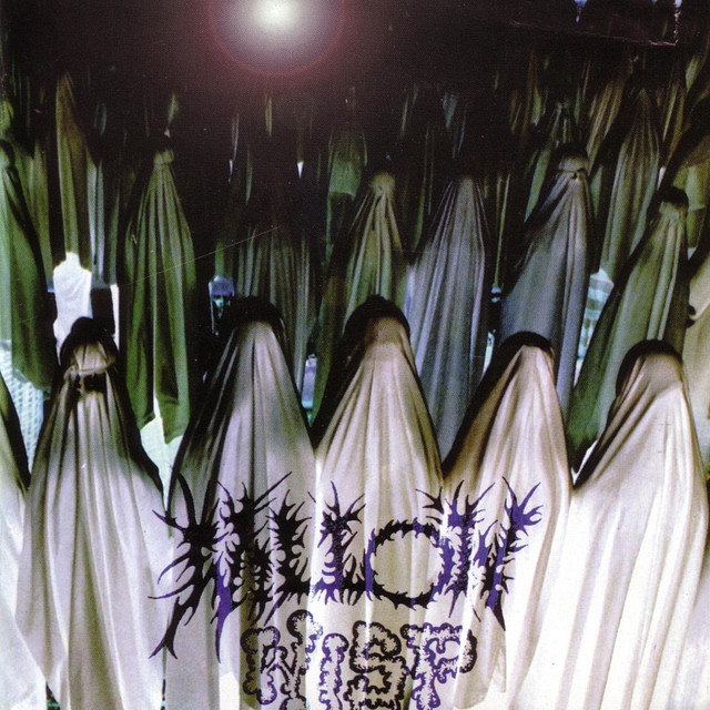 Willow Wisp Photo