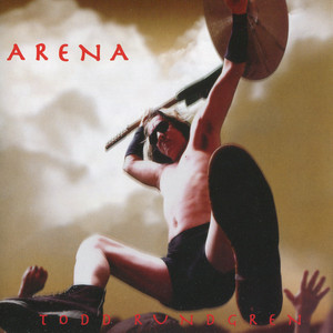 Arena cover