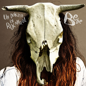 Un pokito de rocanrol album