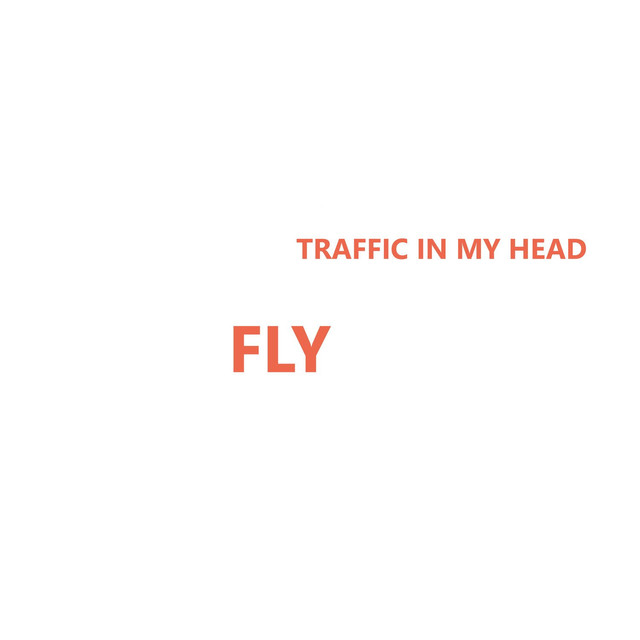 Traffic in My Head Photo