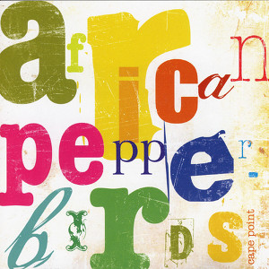 African Pepperbirds