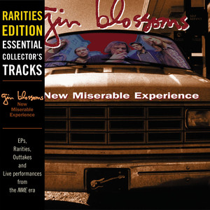 New Miserable Experience (Rarities Edition) album