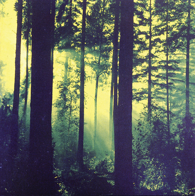 Thy Serpent Photo